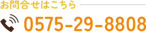0575-29-8808
